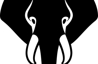 SPEEDB 1